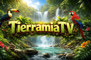 Tierramiatv: A Complete Guide to Live Streaming and Content