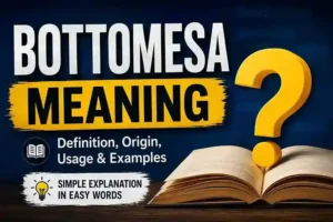What Is the Bottomesa Meaning? A Complete Guide 