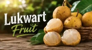 What Is the Lukwart Fruit? A Complete Guide