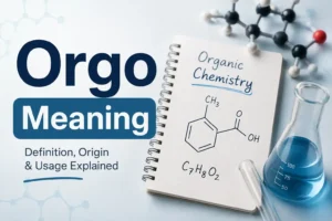 Orgo Meaning Uncovered: 7 Essential Facts Every College Student Should Know Before Day One